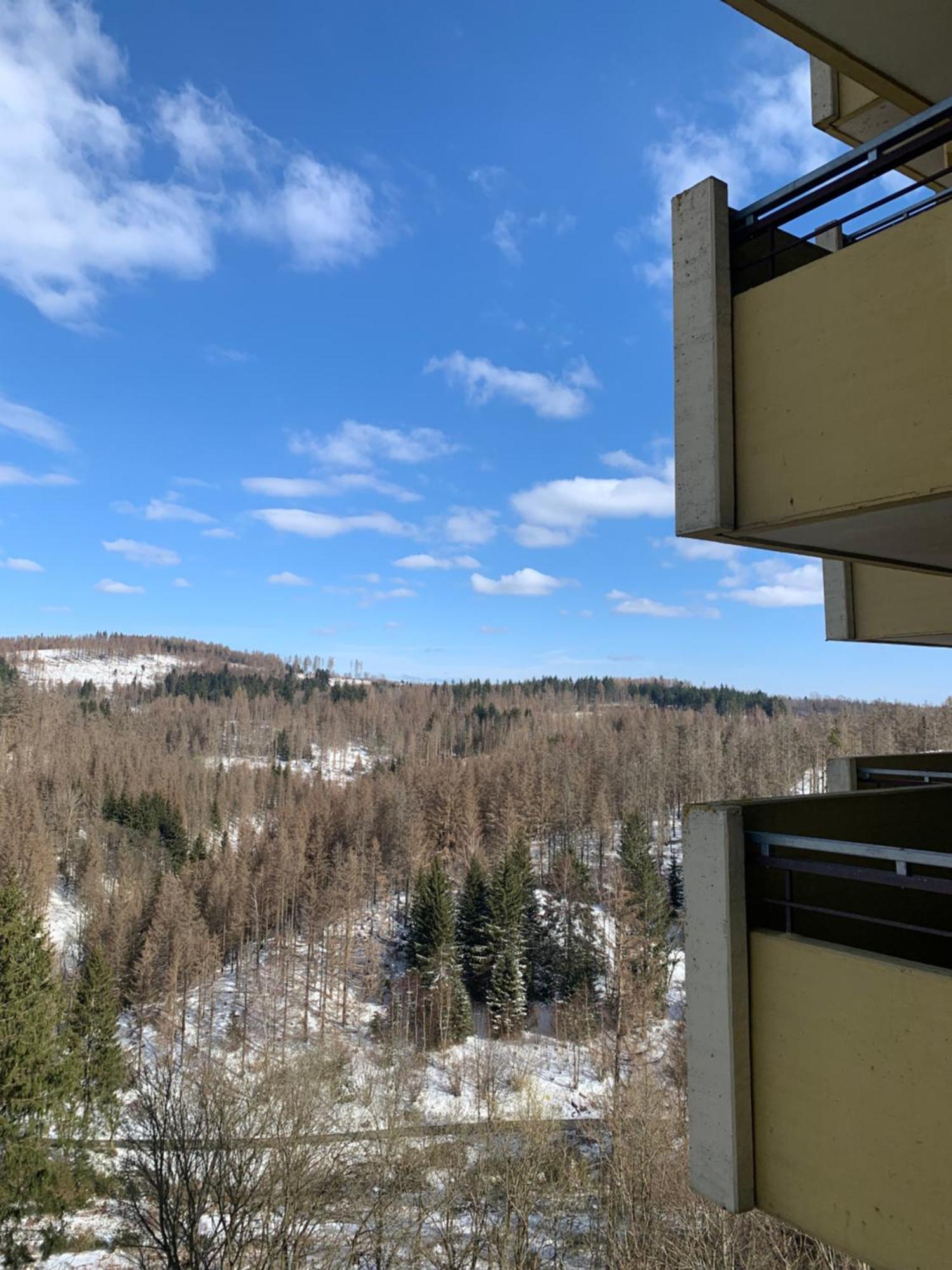 Atempause Und Erholsame Zeit Im Harz Appartement
