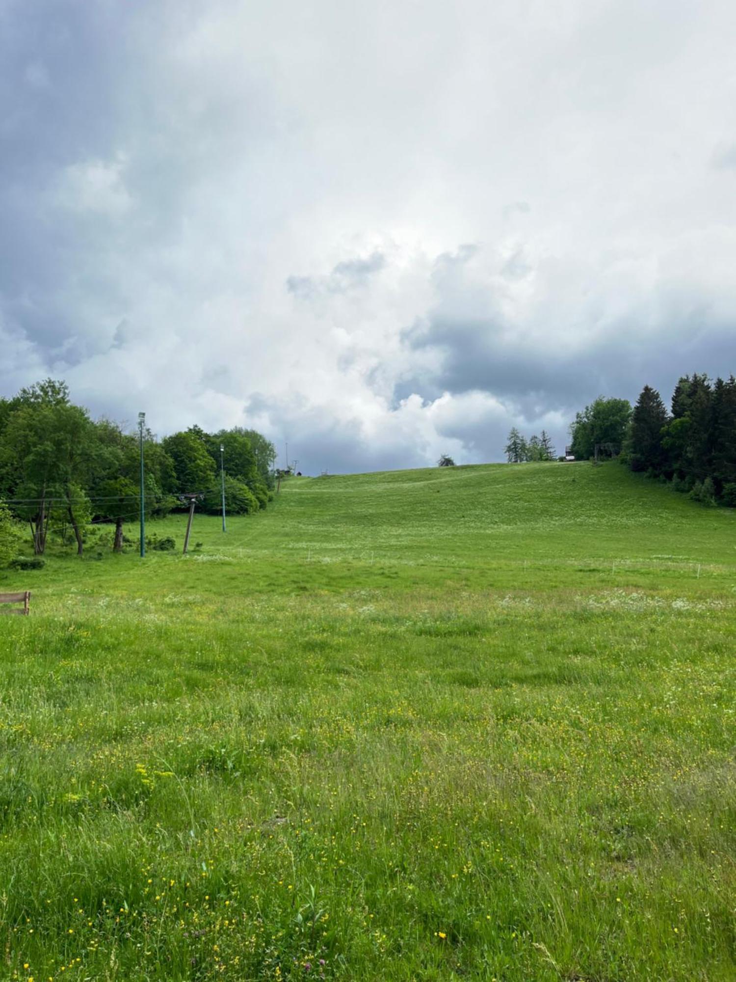 Atempause Und Erholsame Zeit Im Harz Appartement *